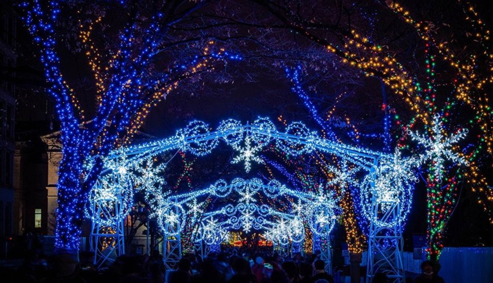 大阪光之文藝復興