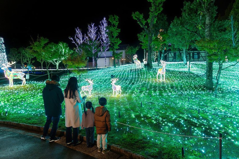 綠色博物館收穫之丘 Wonder Night Hill 2023