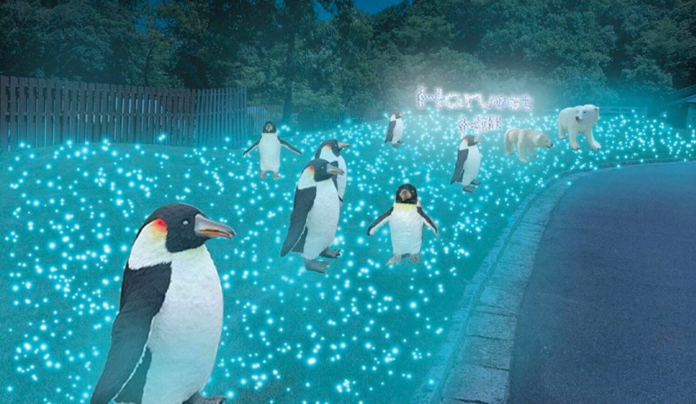 綠色博物館收穫之丘  Wonder Night Hill 2023