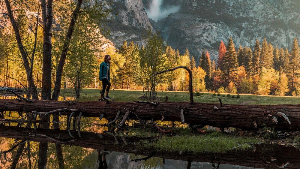 Book Yourself a Trip to Yosemite National Park!