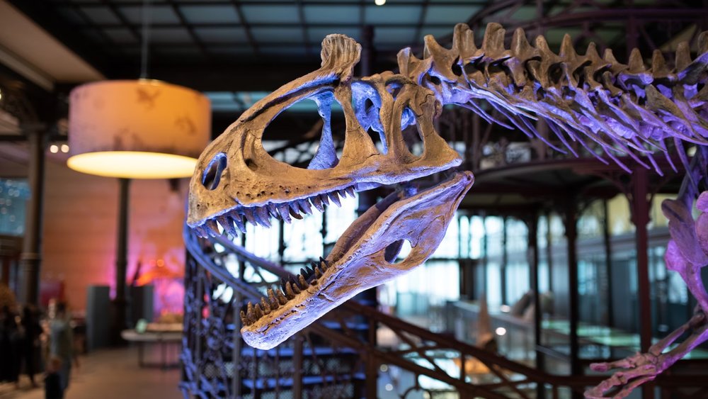 Orlando Science Center