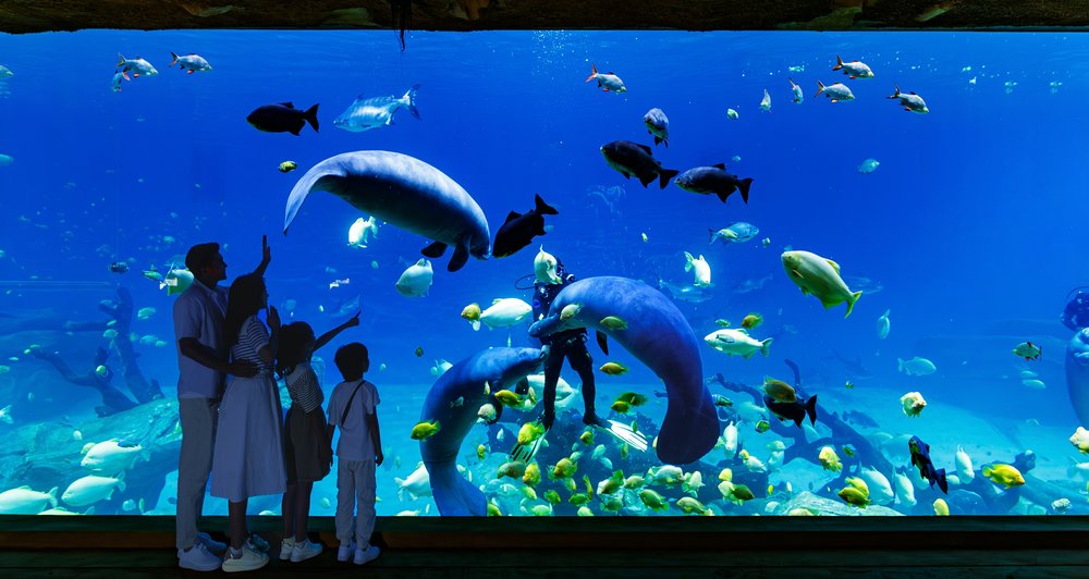 長隆宇宙飛船 珠海長隆 珠海好去處 長隆好去處