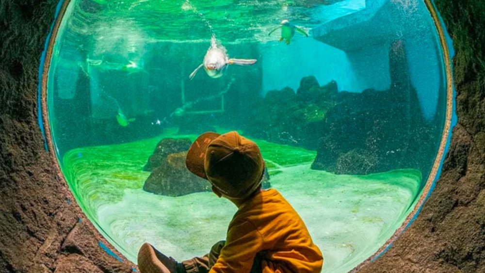 SEA LIFE Sydney Aquarium