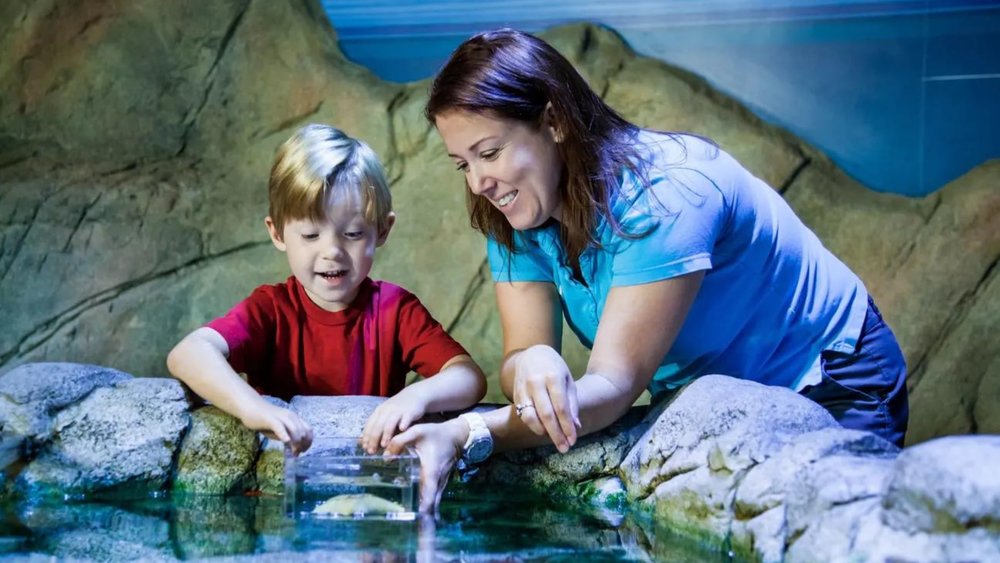 Sea Life Sydney Aquarium