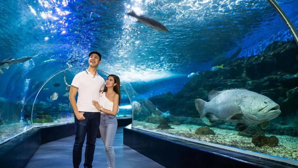 Day 3: Enjoy the day at Manila Ocean Park