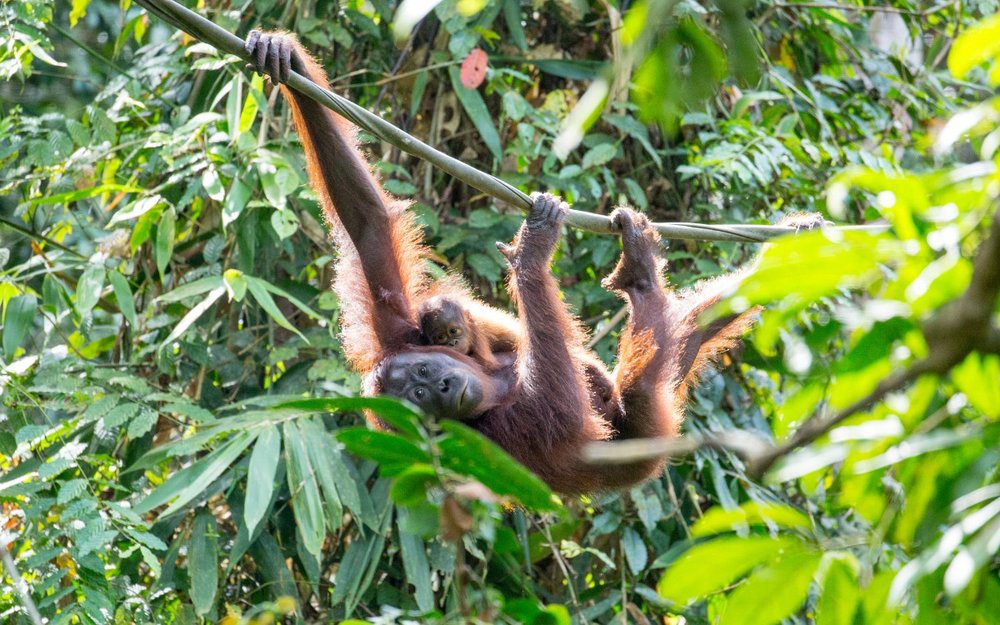 dia-diem-du-lich-sabah-malaysia