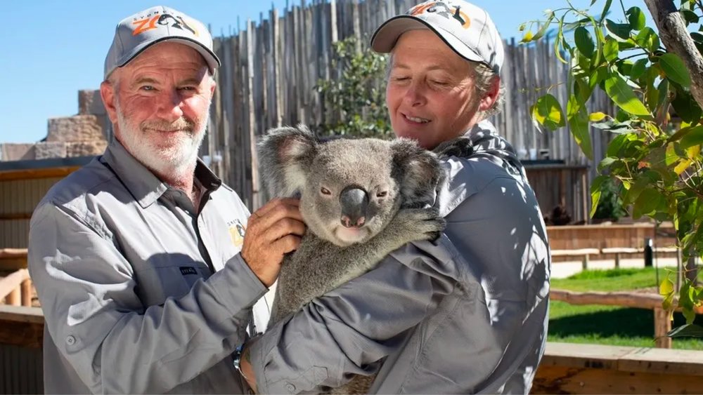 Sydney Blue Mountains One Day Tour and Photo with Koala