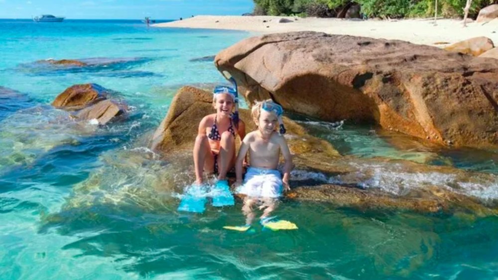 Fitzroy Island Day Tour & Water Activities