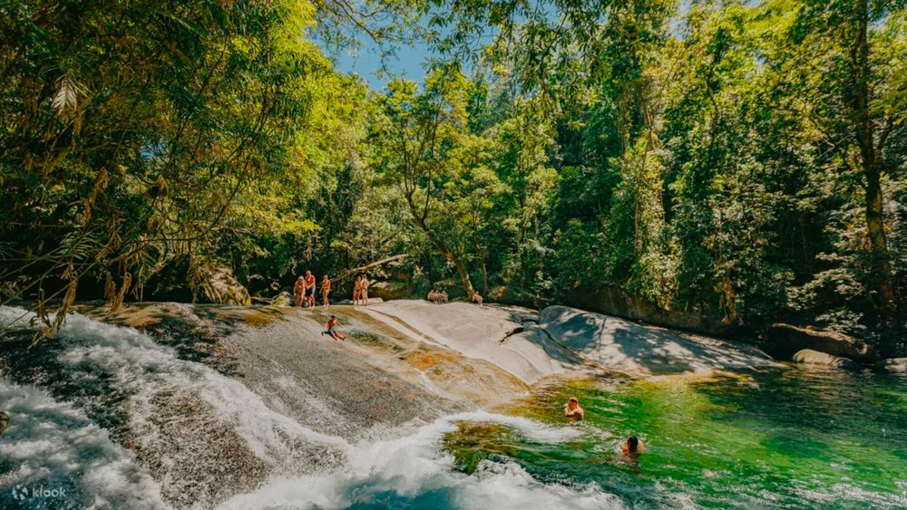 Atherton Tablelands Waterfall & Rainforest Day Tour