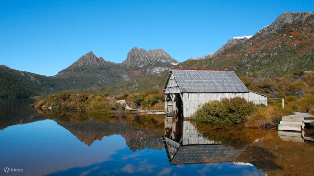 Cradle Mountain World Heritage Explorer Day Trip