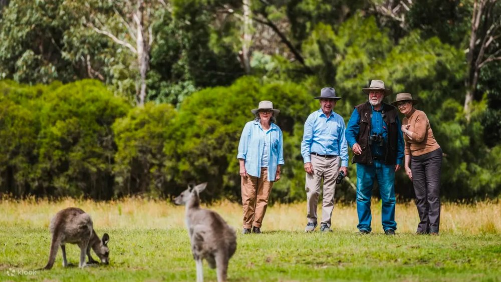 Half-Day Canberra Wildlife Tour