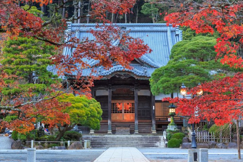 熱海景點 #1 熱海修善寺自然公園