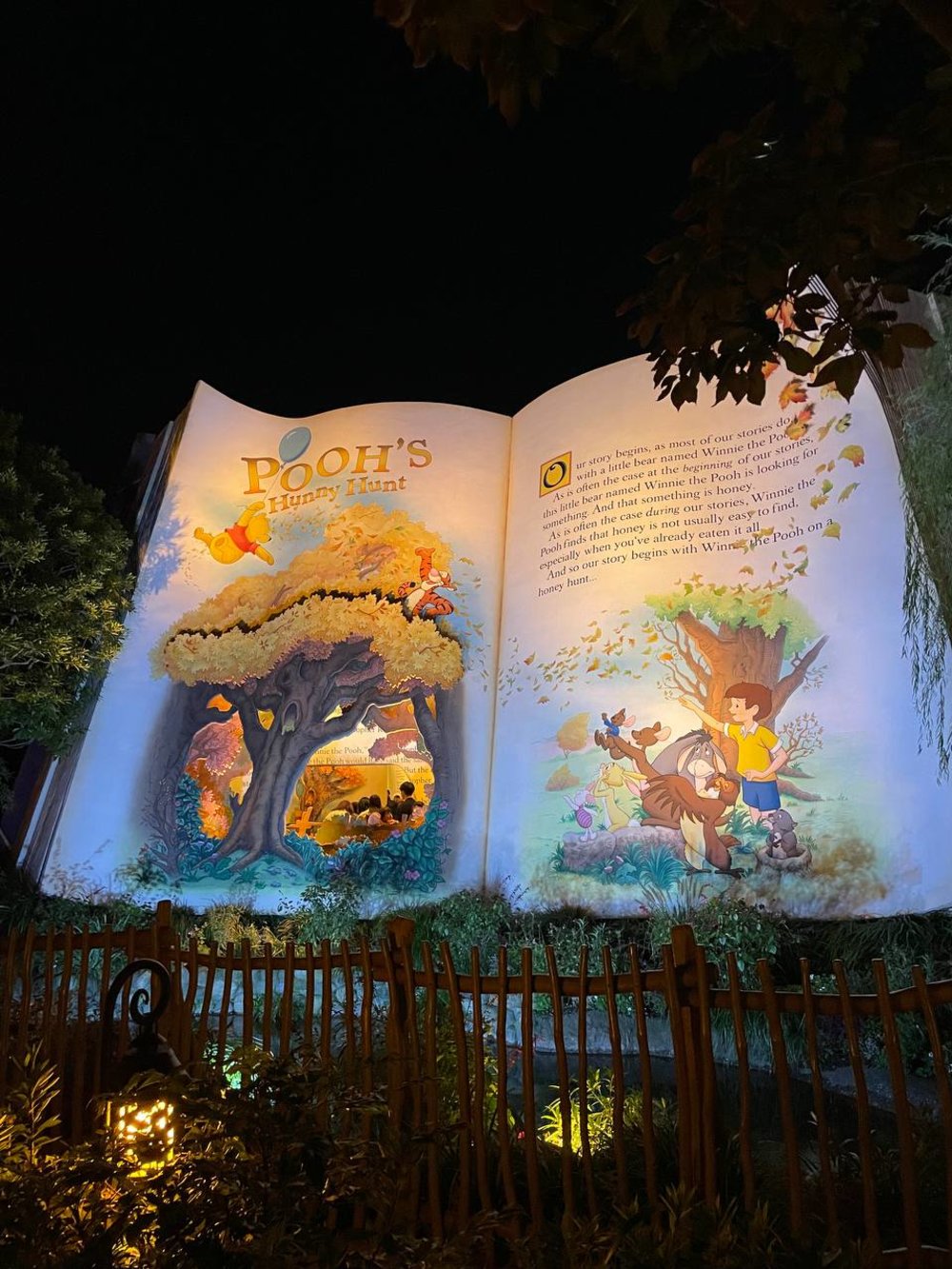 Tokyo Disneyland Pooh's Hunny Hunt