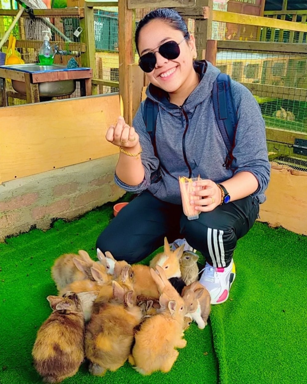 17 Things To Do In Cameron Highlands: Flower Fields, Strawberry Farms ...