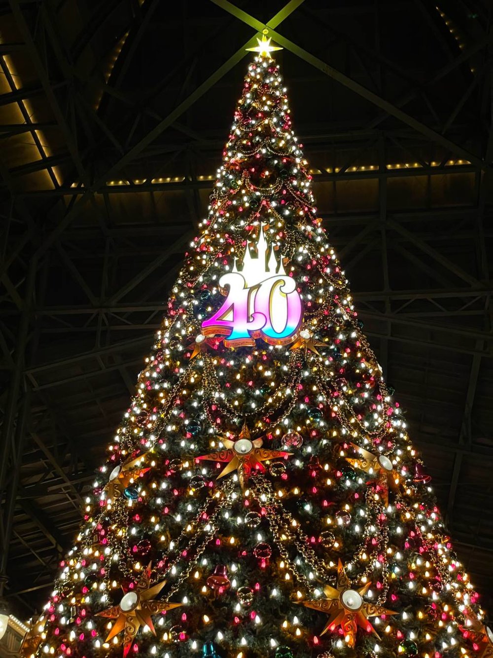 tokyo disneyland christmas