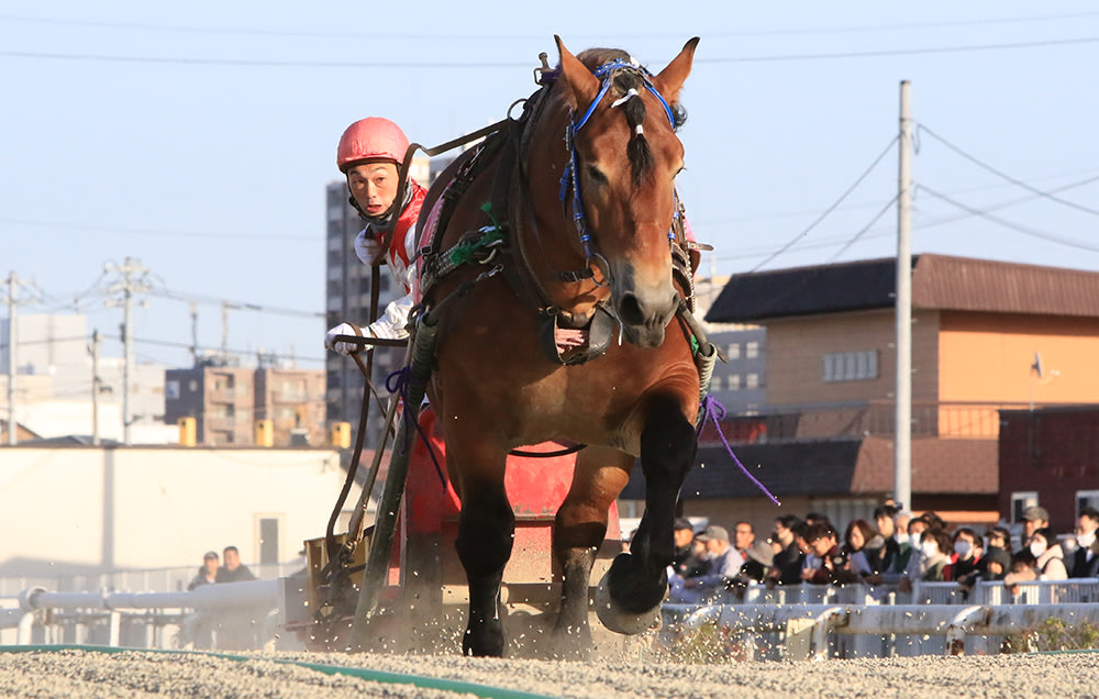 北海道一日遊火車帶廣