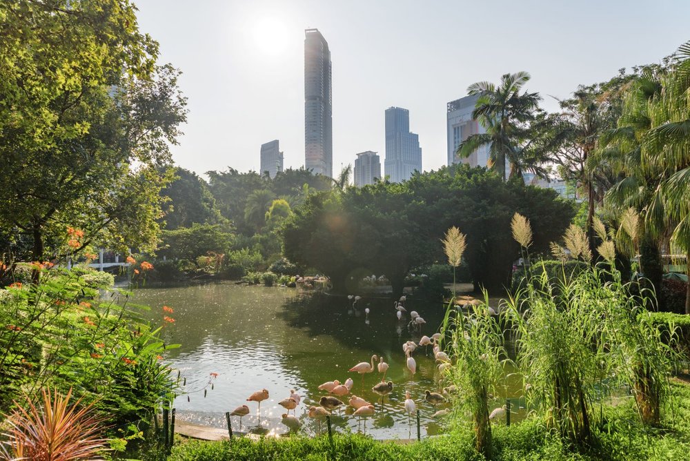 Kowloon Park