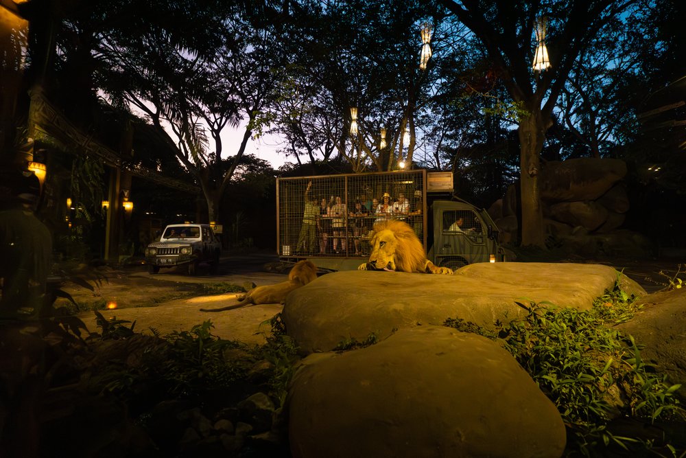 BM MY Bali Night Safari Marine Park