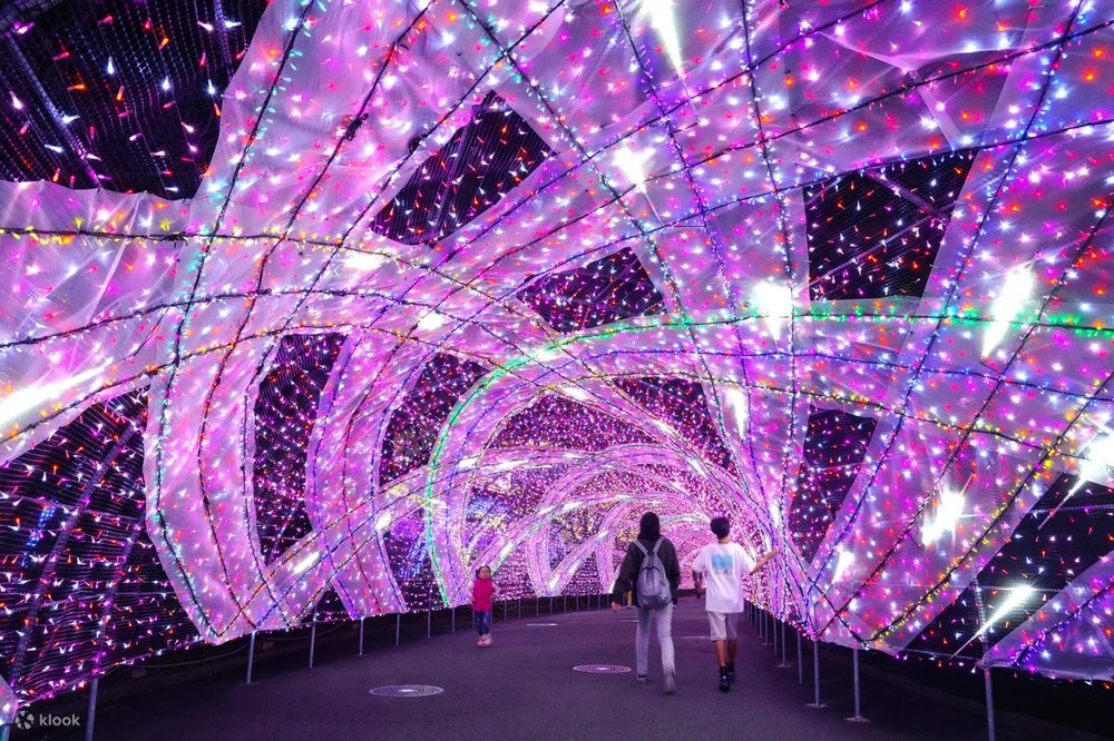 Celebrate Christmas in Tokyo 2024: 10 Magical Winter Illuminations ...