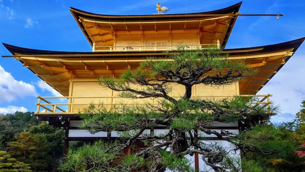 Chiêm Ngưỡng Kiến Trúc Tuyệt Đẹp Của Chùa Vàng