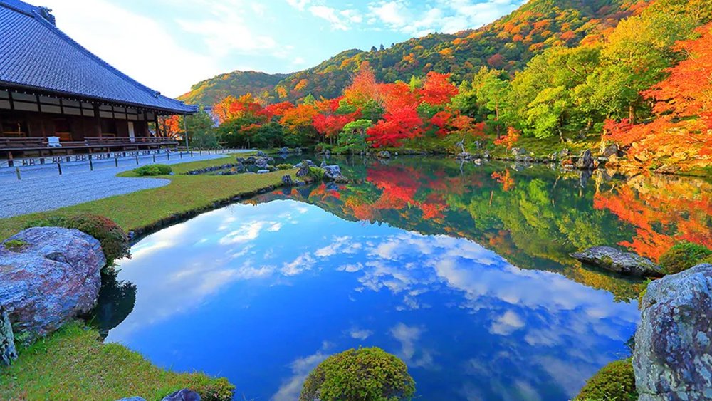 Sống Ảo Cháy Máy Tại Khu Vườn Tuyệt Đẹp