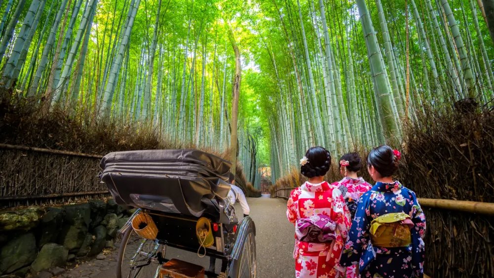 Mặc Kimono Và Chụp Ảnh Ấn Tượng Tại Rừng Tre Kyoto