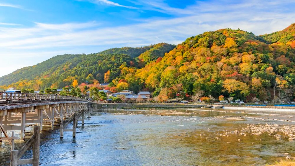 Vui chơi Ở Công Viên Khỉ Iwatayama