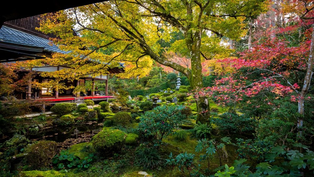 Tham Quan Ngôi Nhà Okochi Sanso