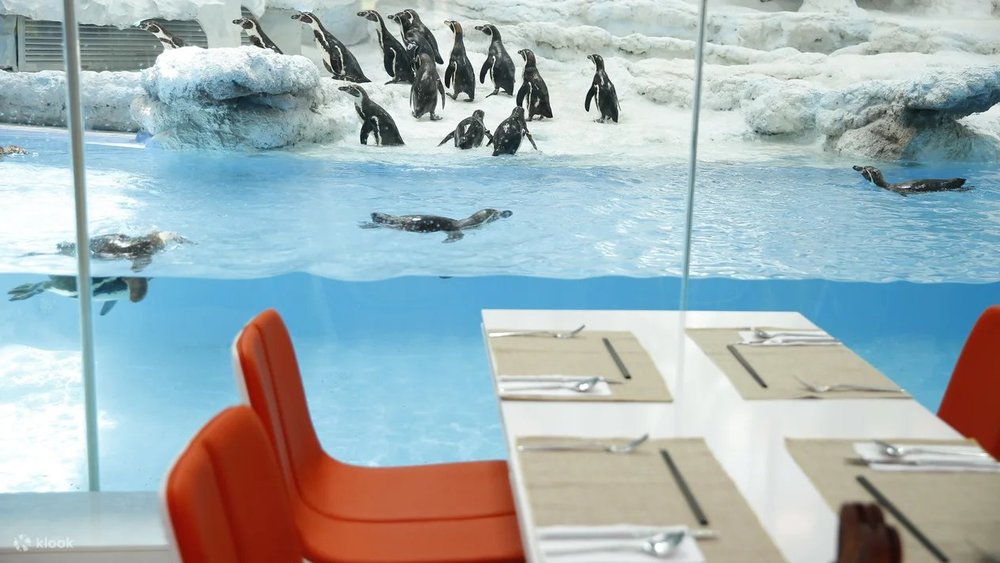 珠海長隆企鵝酒店 自助餐