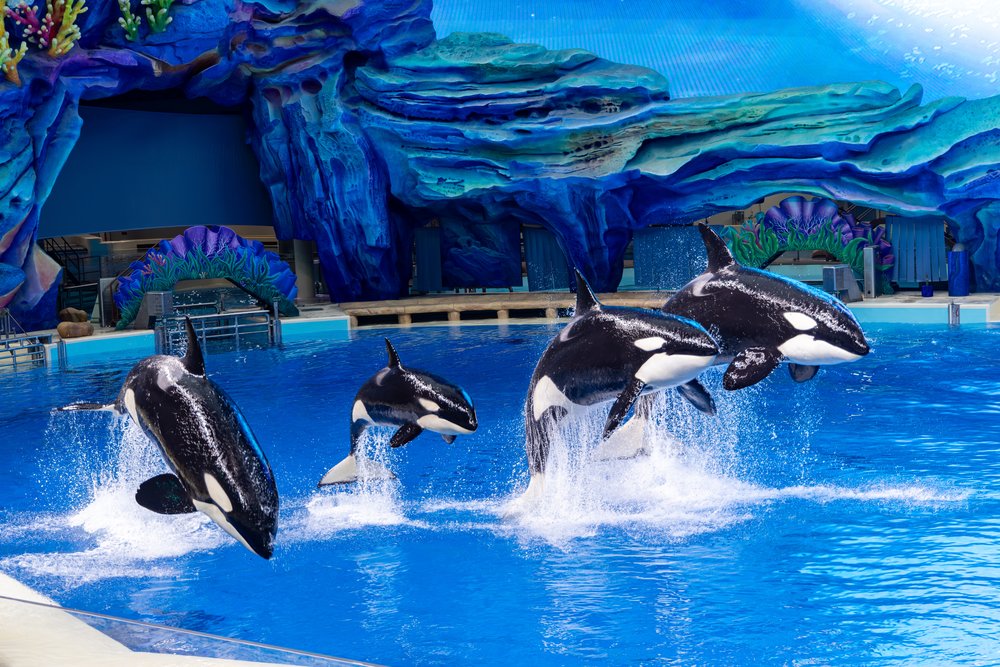 長隆宇宙飛船 珠海長隆 珠海好去處 長隆好去處