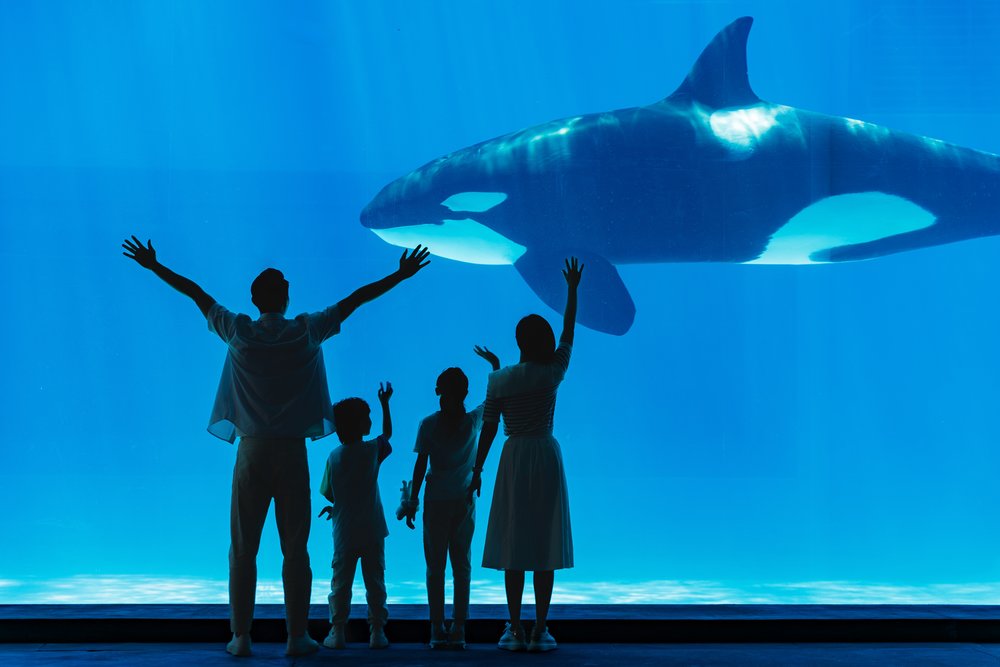 長隆宇宙飛船 珠海長隆 珠海好去處 長隆好去處