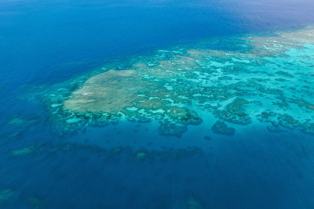 great barrier reef aerial photo Tourism Tropical North Queensland