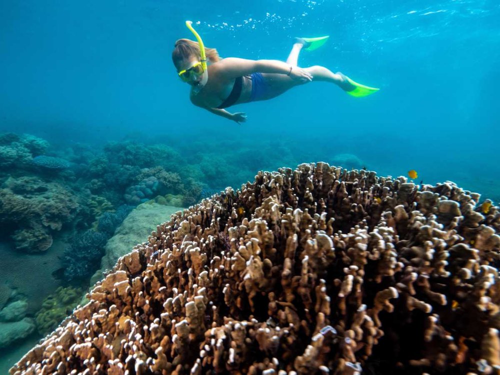 グレートバリアリーフ ケアンズ　ダイビングする女性と珊瑚礁