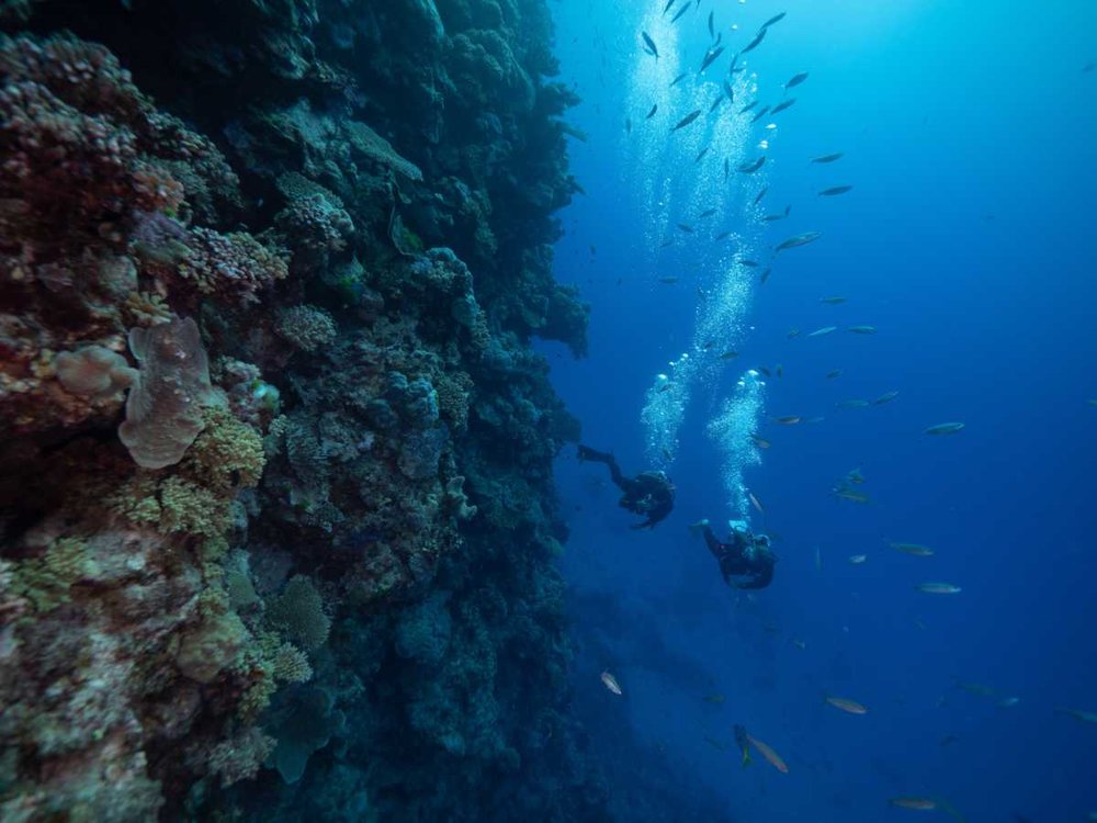 ケアンズ グレートバリアリーフ ダイビングする二人