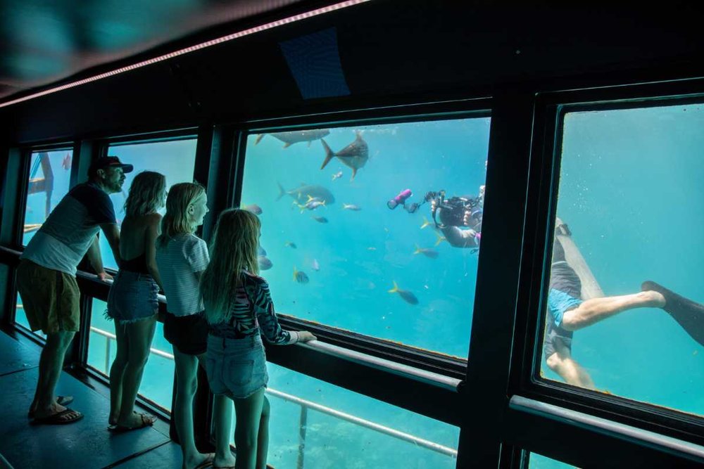 ケアンズ　泳いでいる人を見ているファミリー