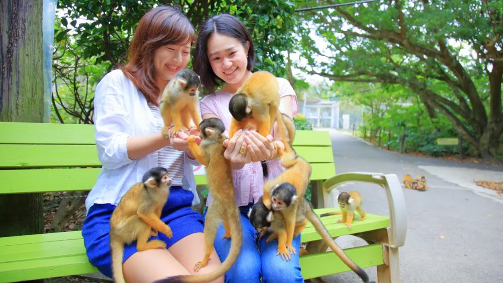 Làng Ishigaki Yaima