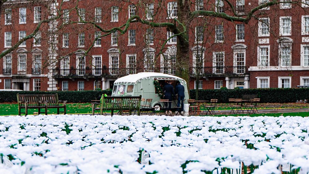 This beautifully solemn light display pays tribute to loved ones. Credits to @daphne_befrenchie on Unsplash