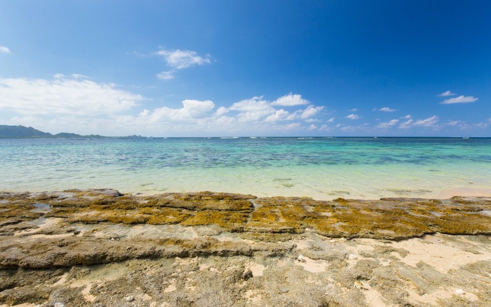 Bãi Biển Yonehara