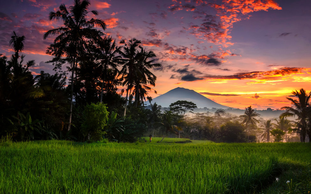Di Chuyển Từ Sân Bay Về Ubud & Nhận Phòng Khách Sạn 