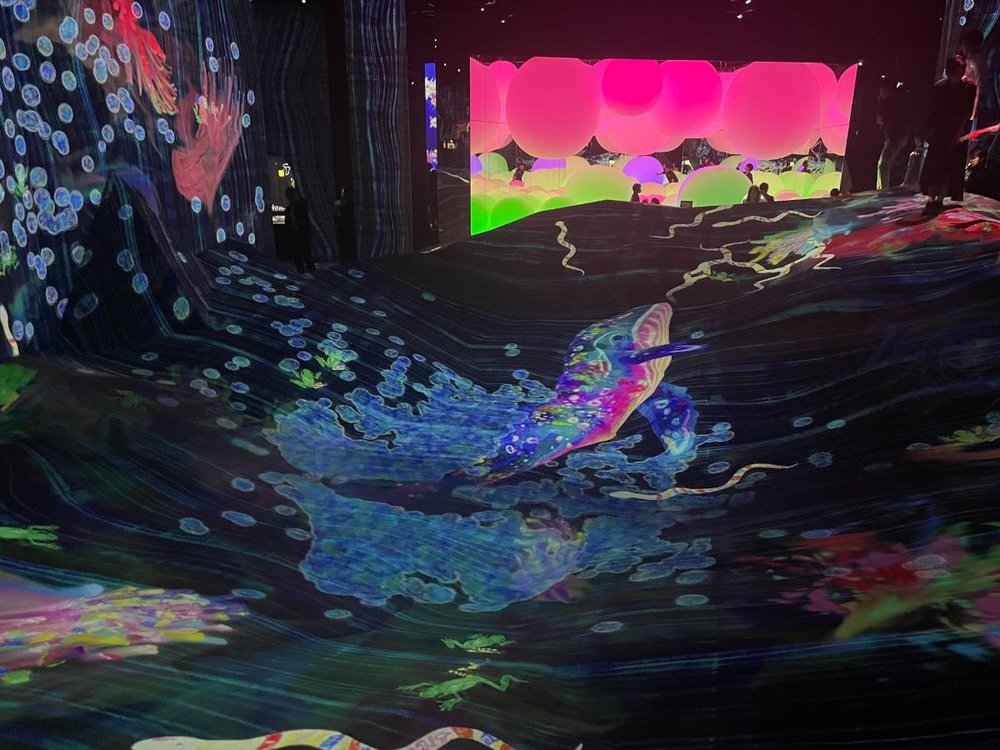 teamlab future park okinawa graffitti nature