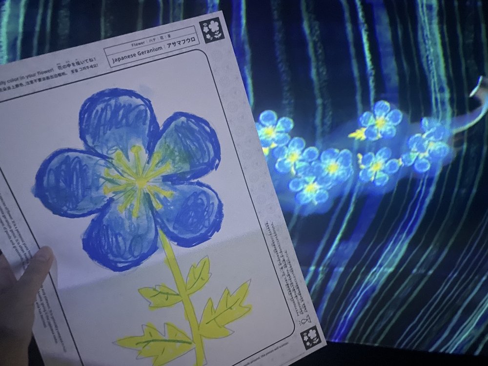 98927 teamlab future park okinawa graffitti nature