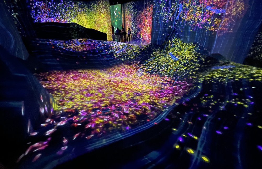 teamlab future park okinawa  whale becomes flower petals