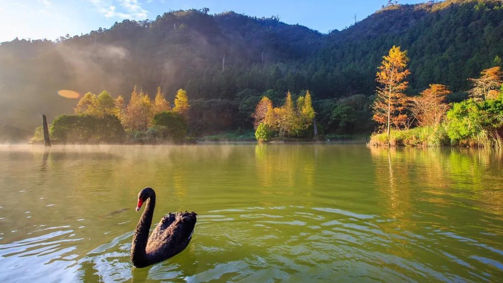 Công Viên Sinh Thái Magao