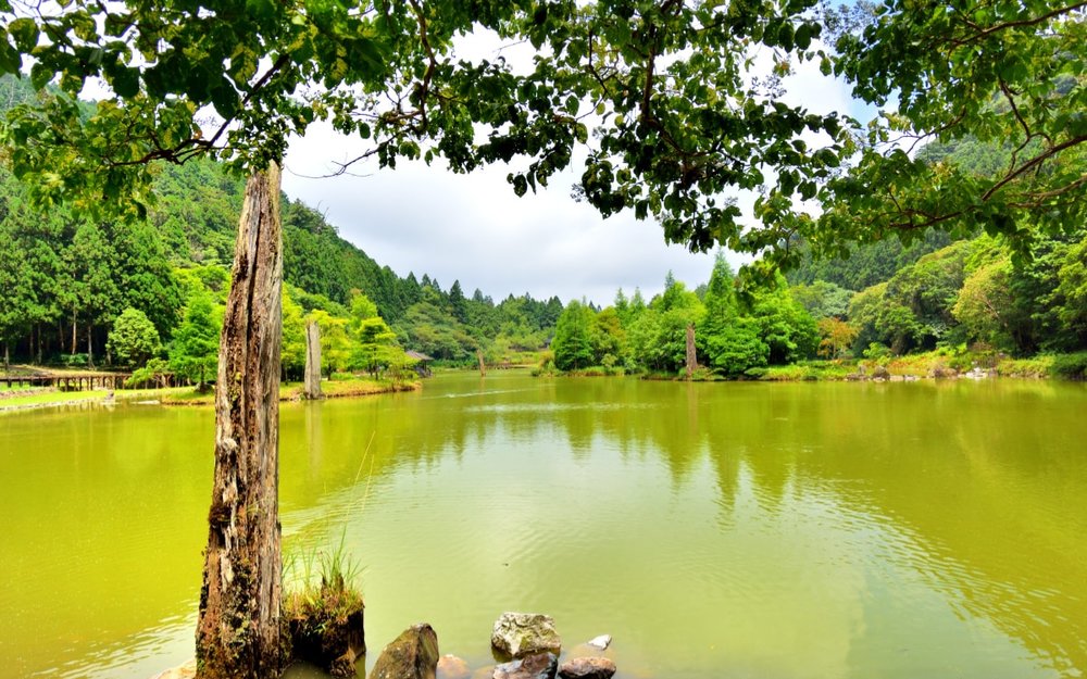 Rừng Quốc Gia Mingchi