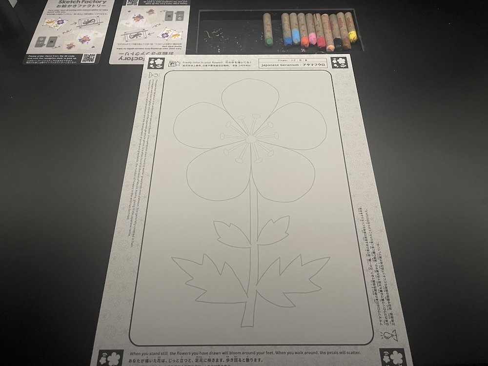 98927 teamlab future park okinawa  sketch factory