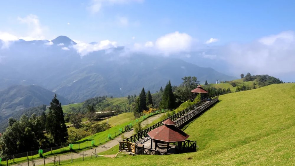 Trang Trại Cingjing 