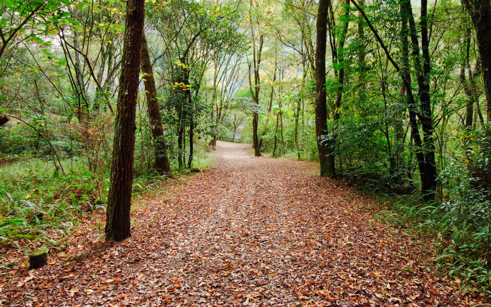 Vườn Quốc Gia Aowanda