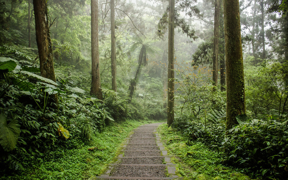 Công Viên Giáo Dục Tự Nhiên Xitou