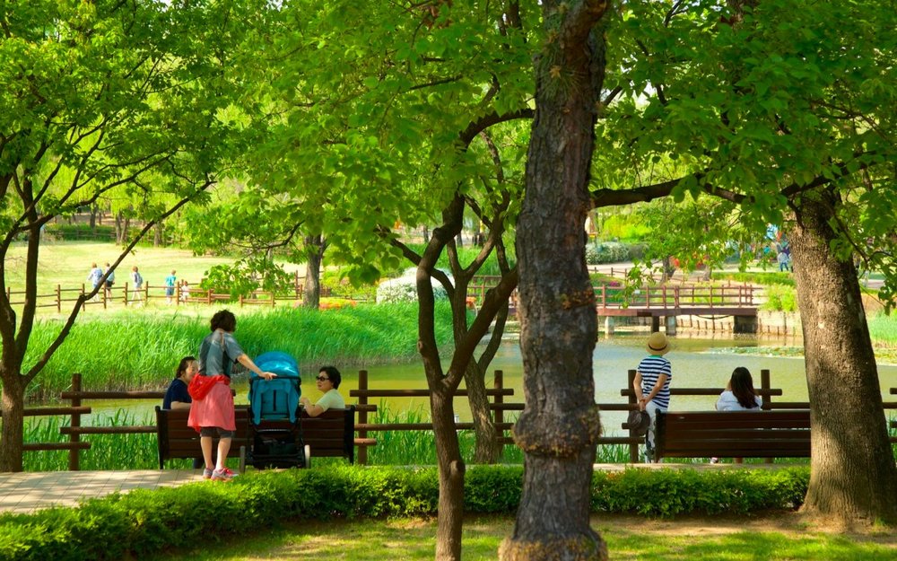 cong-vien-seoul