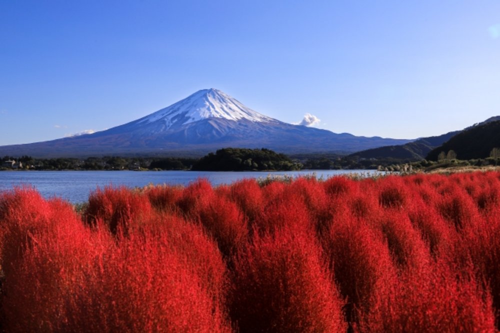  Lake Yamanaka in Oshino Hakkai 